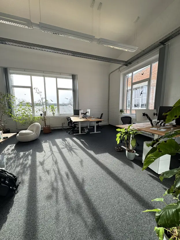 Großes Open Office